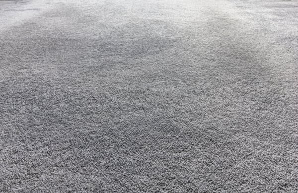 Plush Carpet